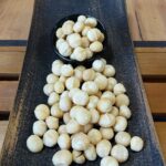 Макадамия сурова