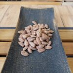 Български бадем едър печен със сол