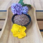 Ленено семе