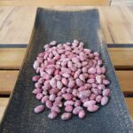 Български фъстък сорт „Цветелина" печен със сол