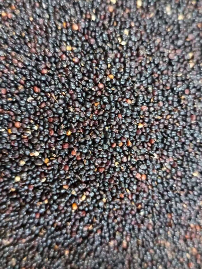 Киноа черна_1200х1600 - 2025-11-12_16-43-58-866 Киноа черна - Image 1